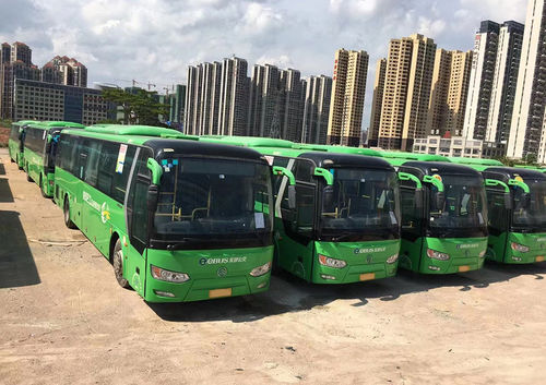 Laatste bedrijfscasus over Meer dan 150 Chinese stadsbussen geëxporteerd naar Kazakhstan
